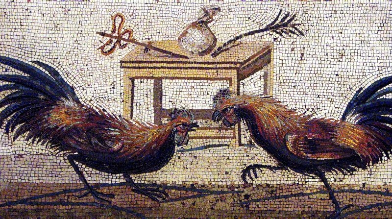 Mosaico AK008 Details pelea de gallos de Pompeya 2