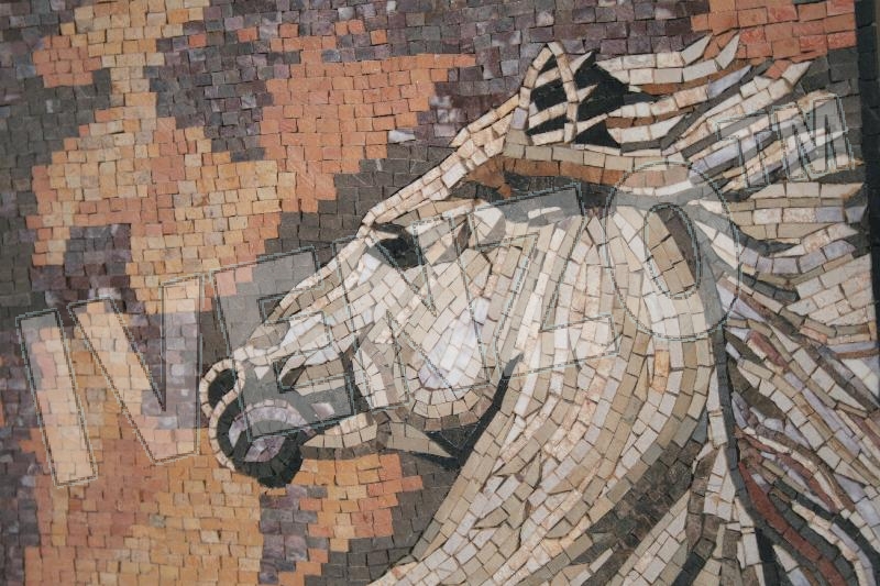 Mosaico AK026 Details la cría de caballo 1