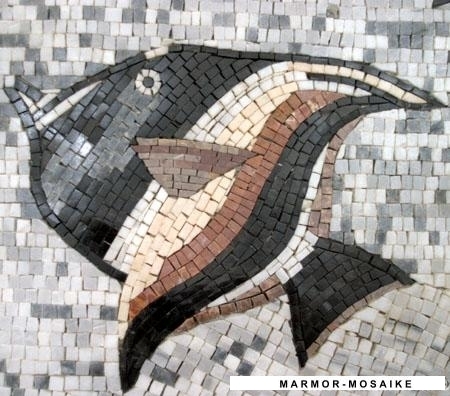 Mosaico CR195 Details acuario 1