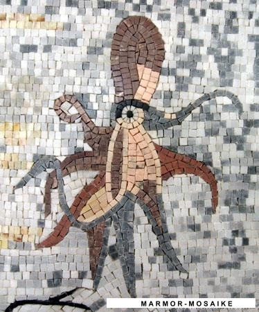 Mosaico CR195 Details acuario 5
