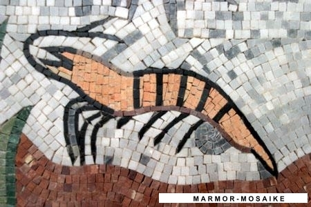 Mosaico CR195 Details acuario 6