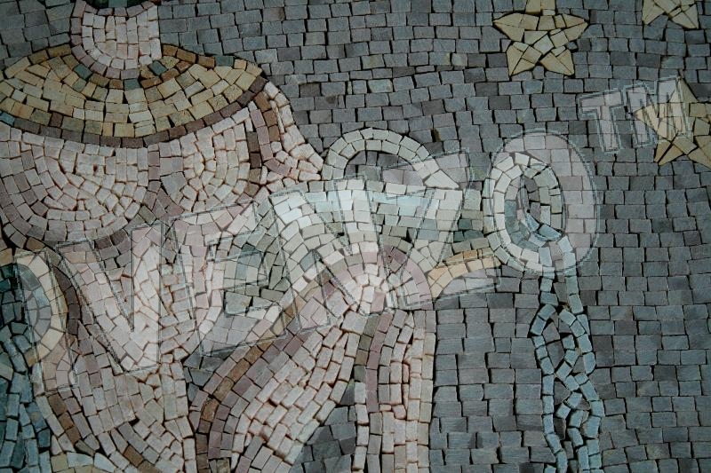 Mosaico FK017 Details signo del zodíaco acuario 2