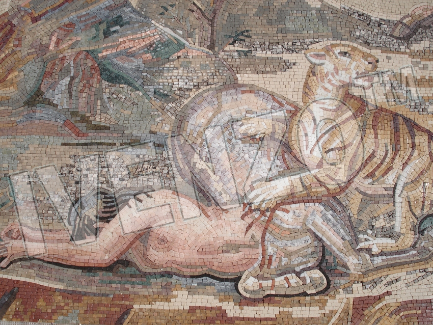 Mosaico FK113 Details Mosaico de centauros 1