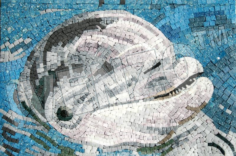 Mosaico AK009 delfín