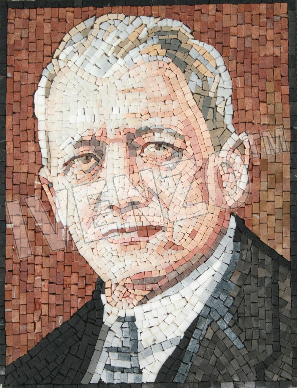 Mosaico FK074 Retrato Franz Oppenheimer
