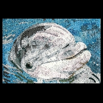 Mosaico delfín