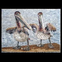 Mosaico pelícanos