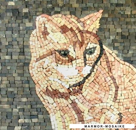 Mosaico AN360 Details gatto 1