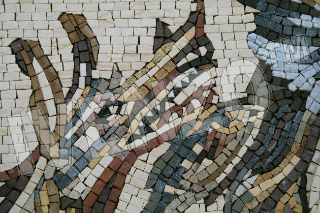 Mosaico FK003 Details Tetis (Thetys) Diosa del mar 2