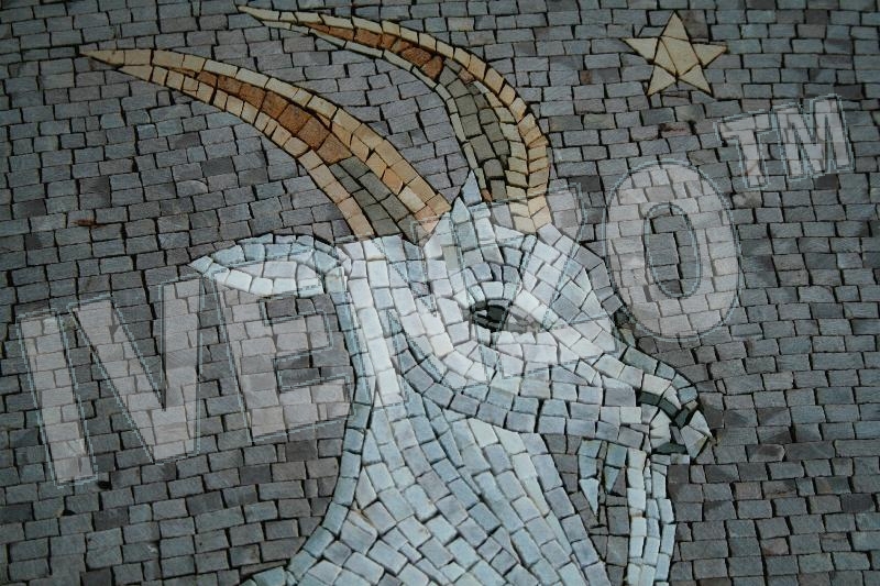 Mosaico FK016 Details signo del zodíaco capricornio 1