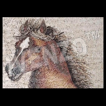 Mosaico cabeza de caballo