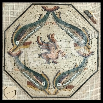 Mosaico Dolphins con cisne