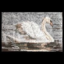 Mosaico cisne