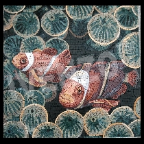 Mosaico pez payaso