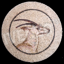 Mosaico Gacela